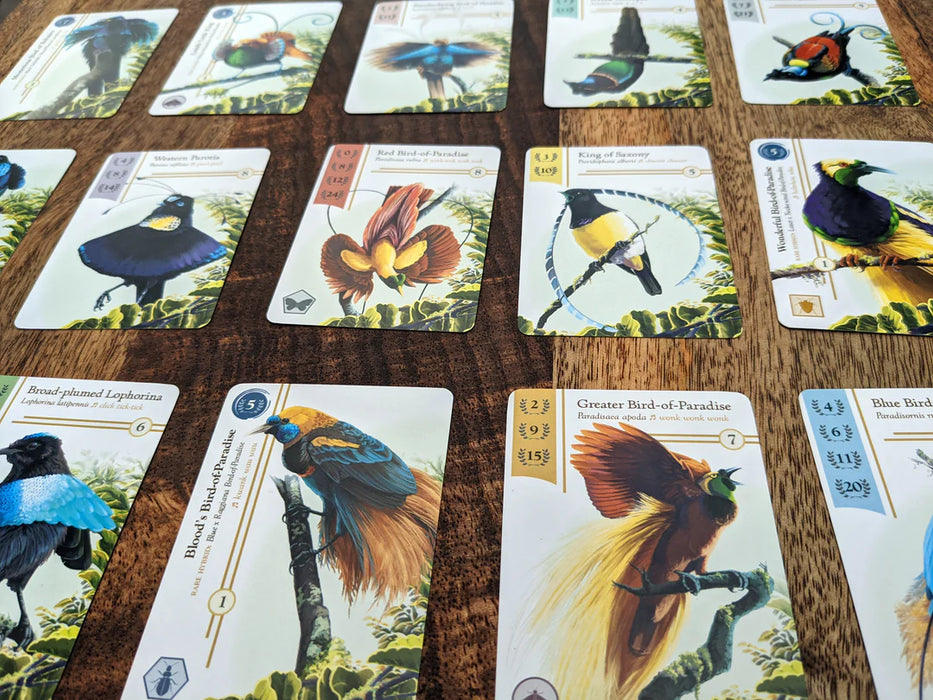 Birdwatcher (Kickstarter Edition)